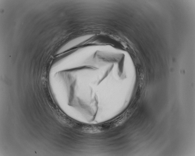 X0000082750553200702240041