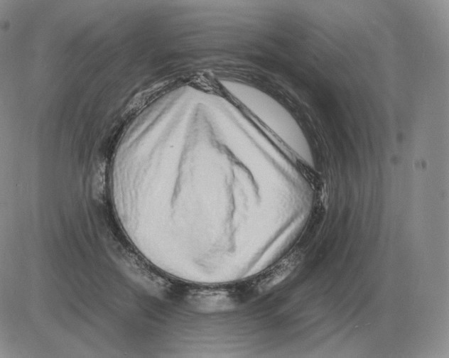 X0000082750554200702240041