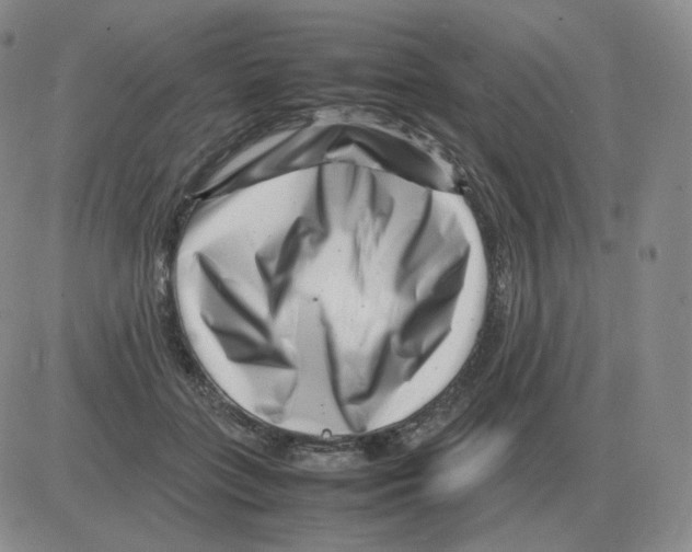 X0000082750555200702240041