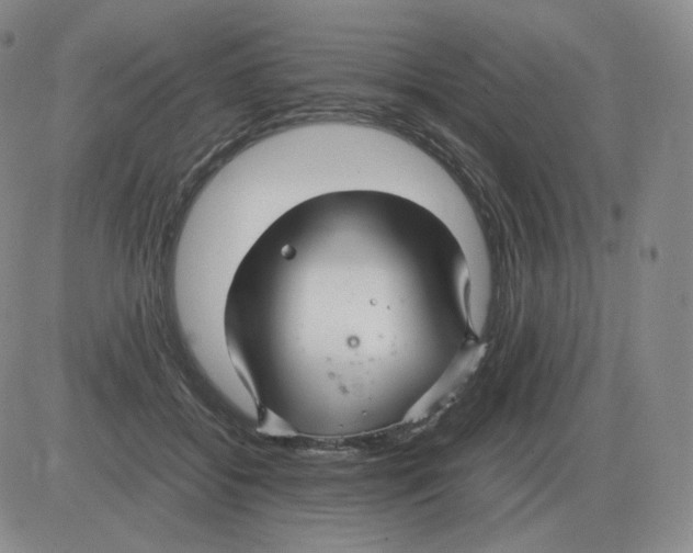 X0000082750556200702240041