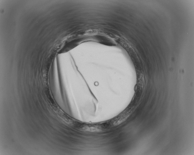 X0000082750557200702240041