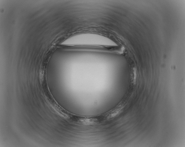 X0000082750558200702240041