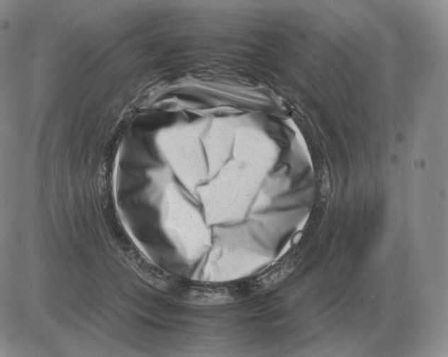 X0000082750559200702240041