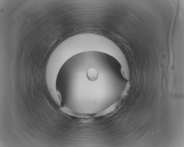 X0000082750560200702240041