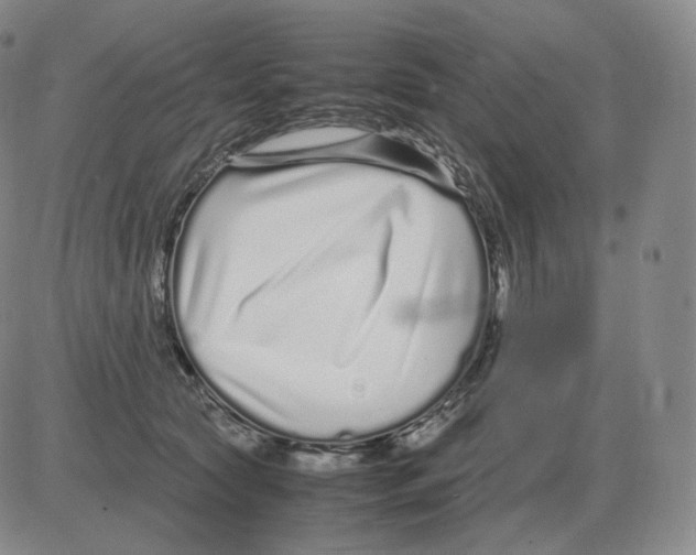 X0000082750561200702240041