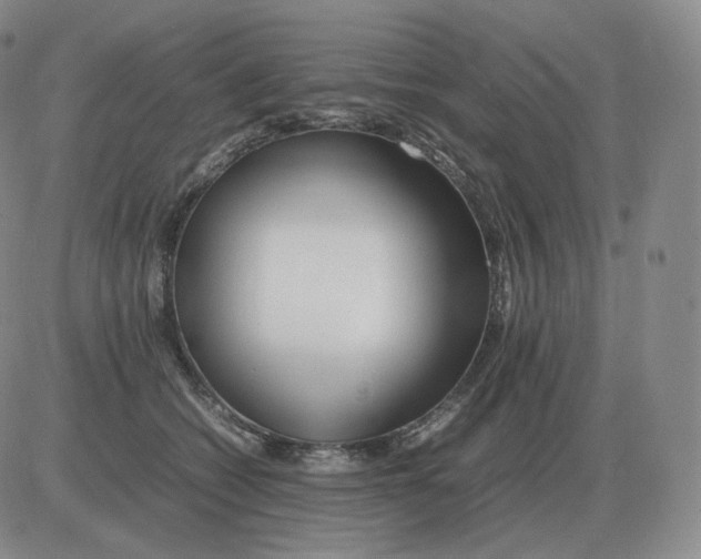 X0000082750562200702240041