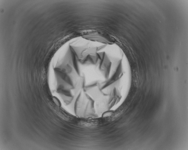 X0000082750563200702240041