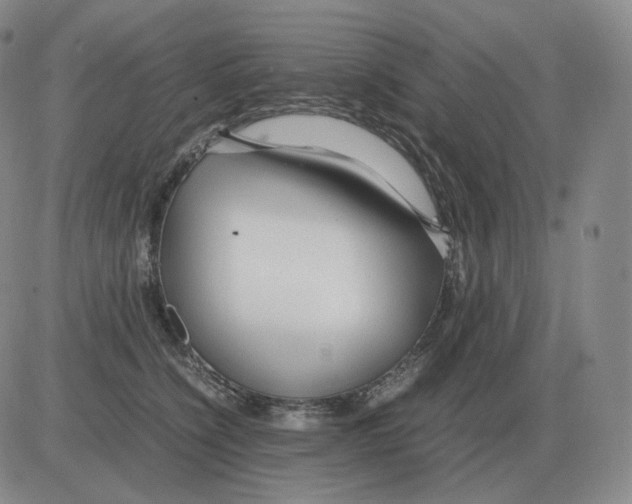 X0000082750564200702240041