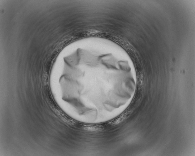 X0000082750565200702240041