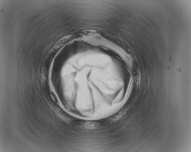 X0000082750566200702240041