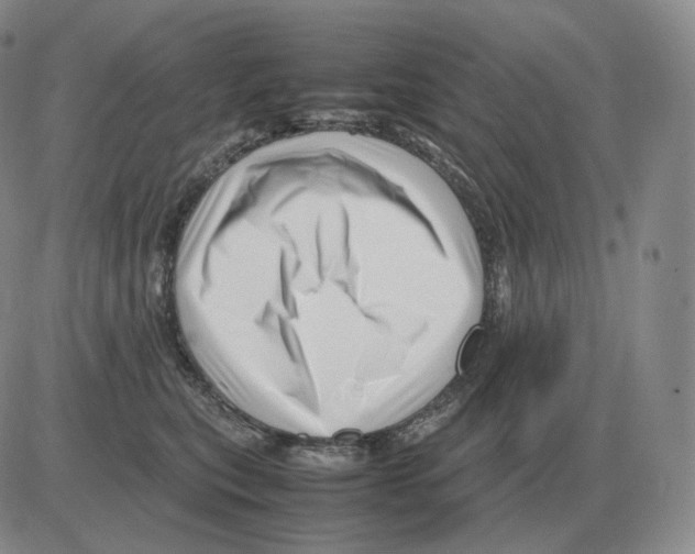 X0000082750567200702240041