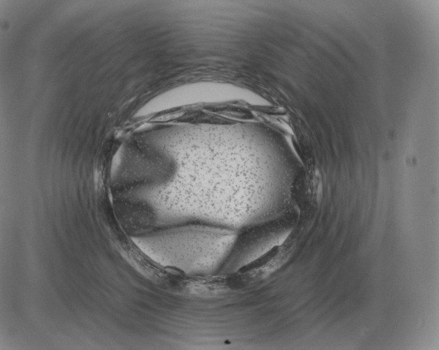 X0000082750568200702240041