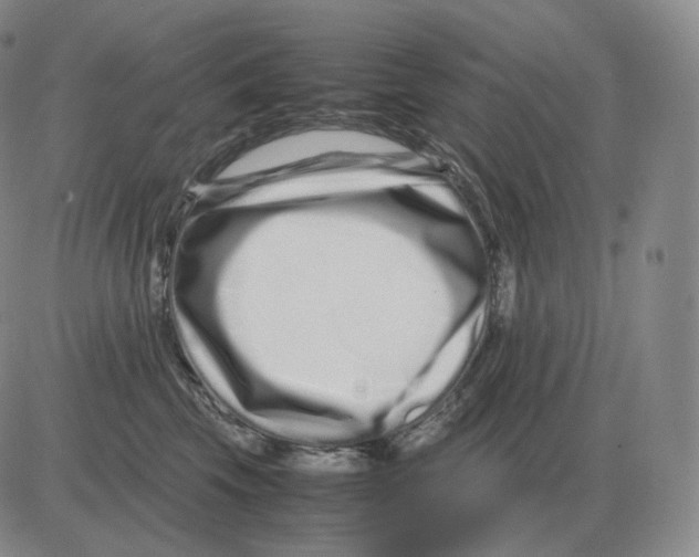 X0000082750569200702240041