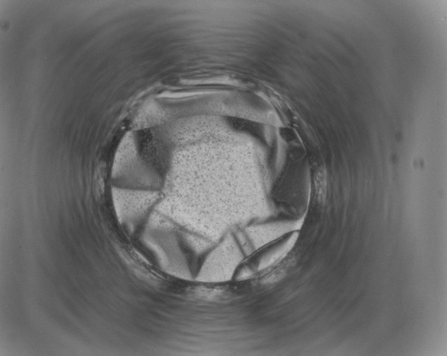 X0000082750570200702240041