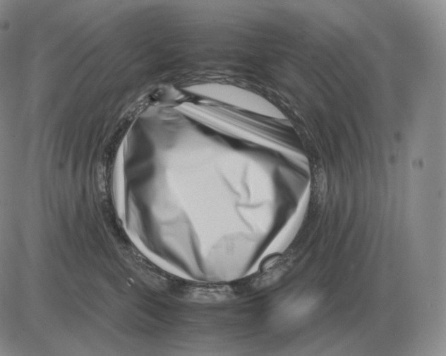 X0000082750571200702240041