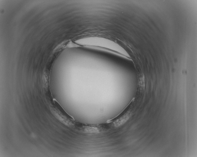 X0000082750572200702240041