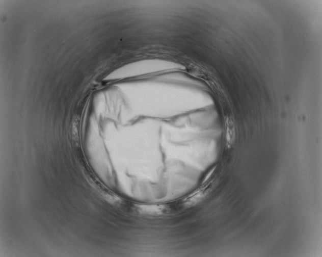 X0000082750573200702240041