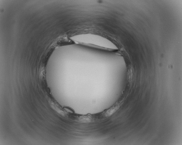 X0000082750574200702240041