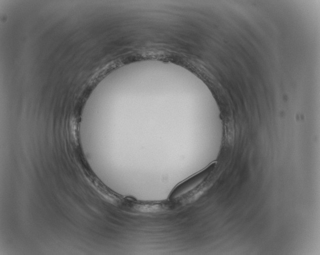 X0000082750575200702240042