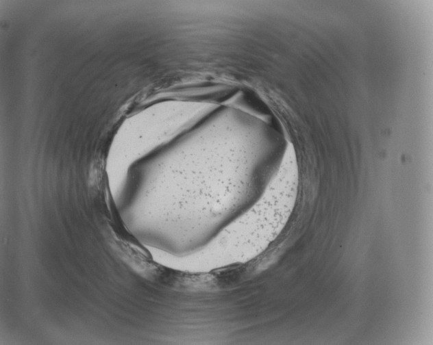 X0000082750576200702240042