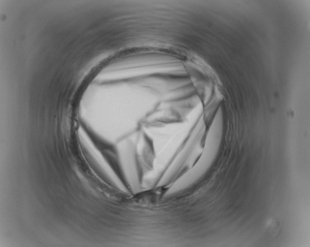 X0000082750580200702240041