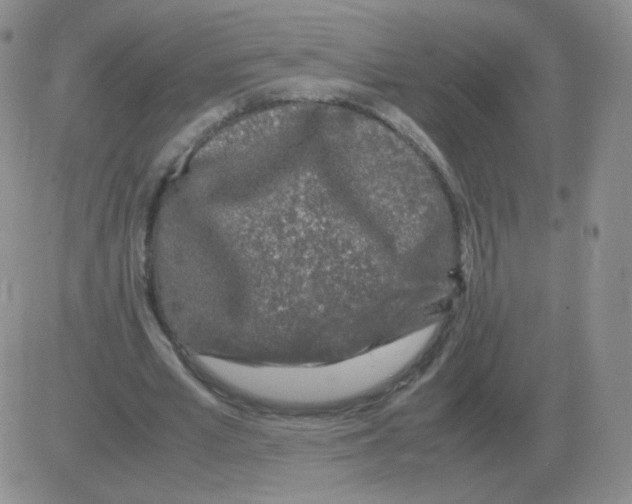 X0000082750581200702240041