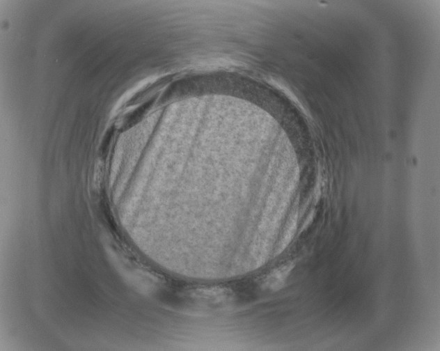 X0000082750583200702240041