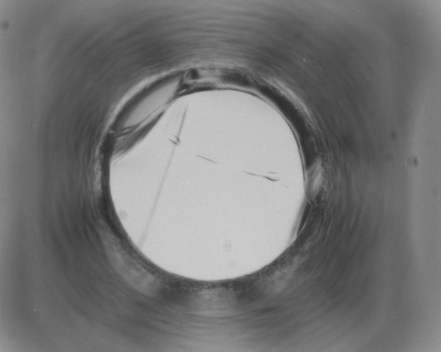 X0000082750584200702240041