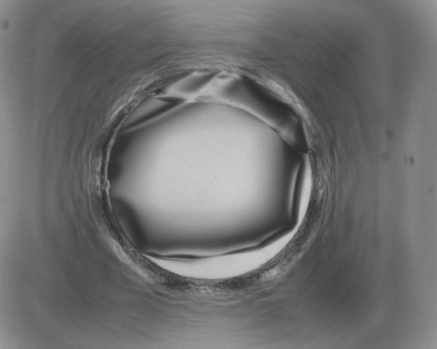 X0000082750585200702240041