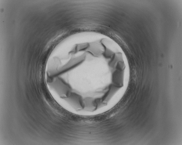 X0000082750586200702240041