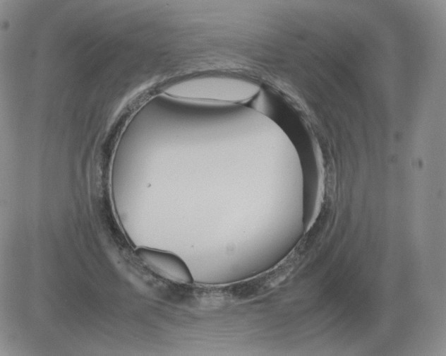 X0000082750587200702240041