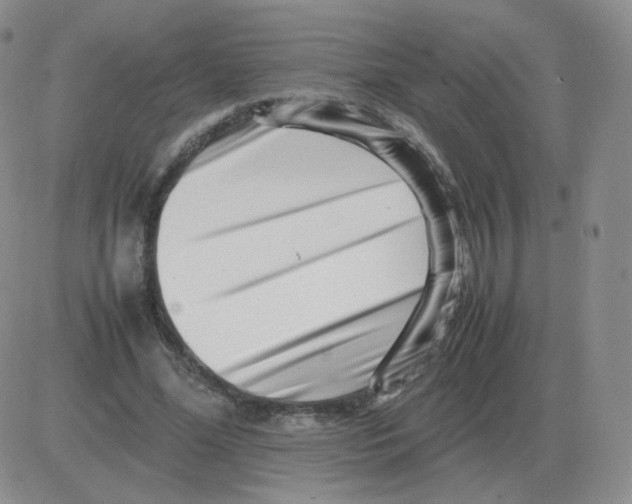 X0000082750588200702240041