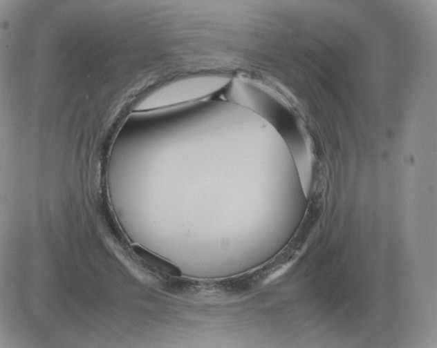 X0000082750589200702240041