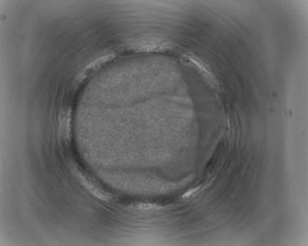 X0000082750590200702240041