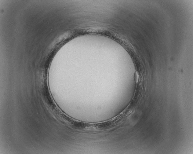 X0000082750591200702240041