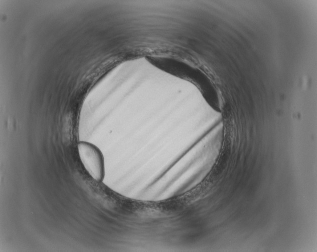 X0000082750594200702240040