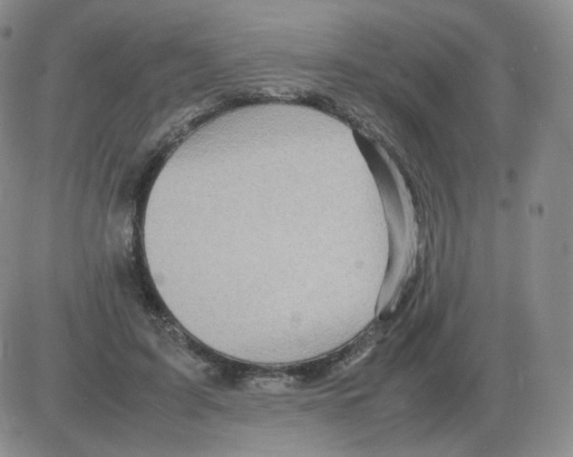 X0000082750595200702240040