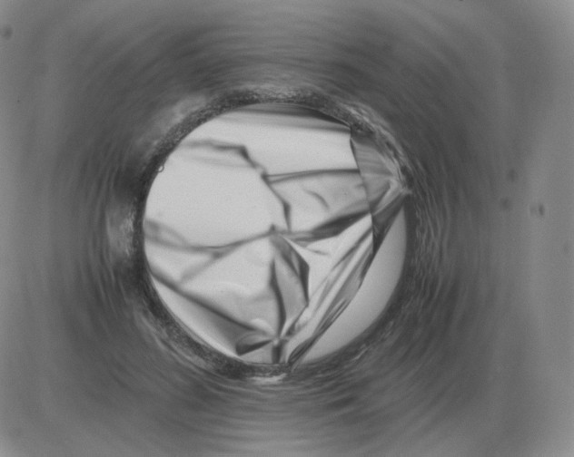 X0000082750596200702240040