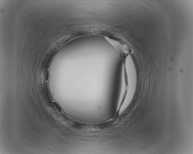 X0000082750597200702240040