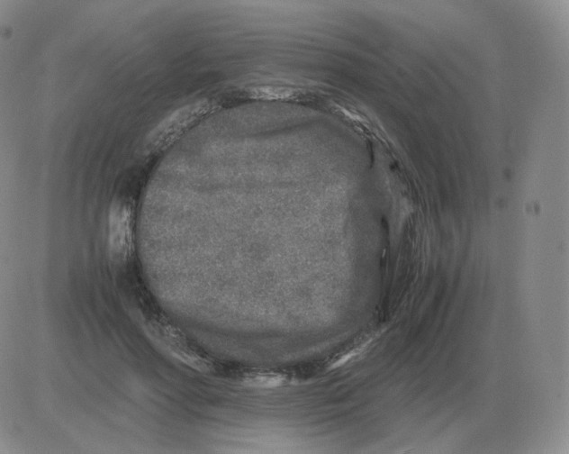 X0000082750598200702240040