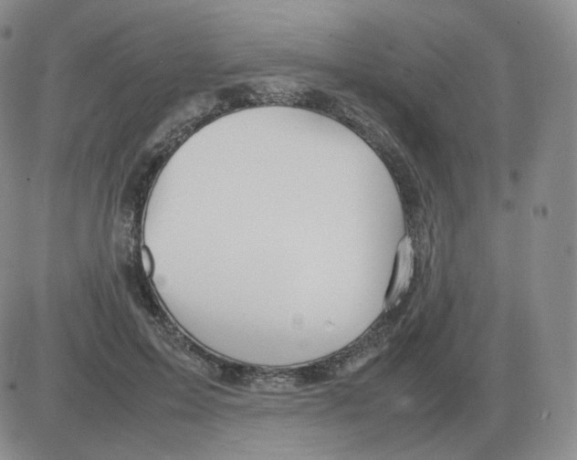 X0000082750599200702240040