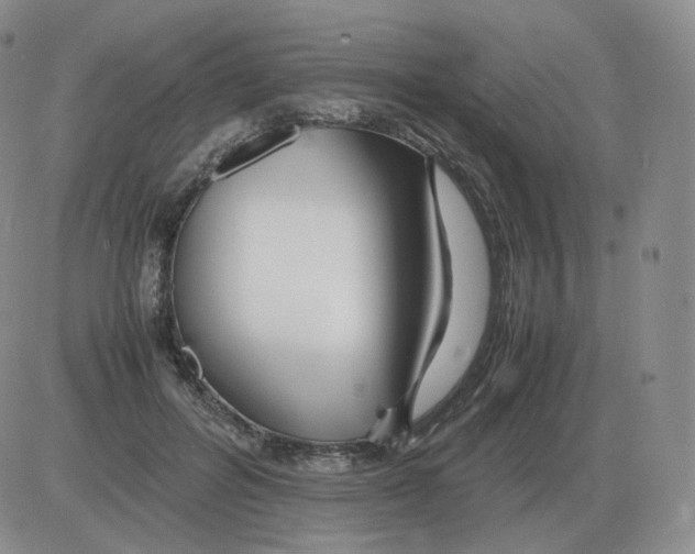 X0000082750600200702240040