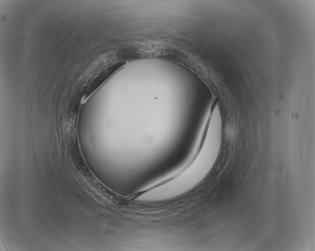 X0000082750601200702240040