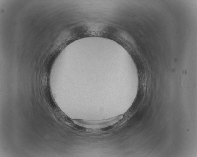 X0000082750603200702240040