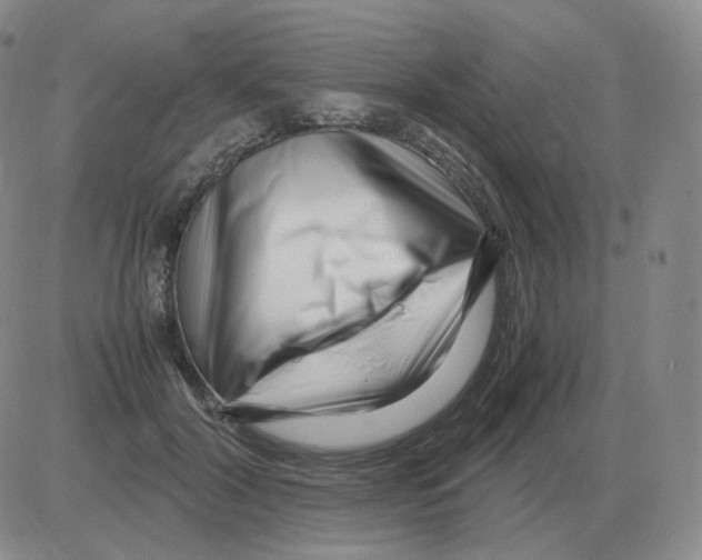 X0000082750604200702240040