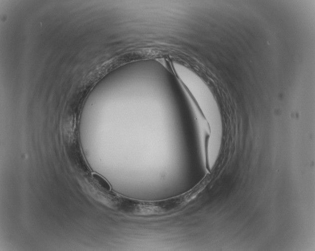 X0000082750605200702240040