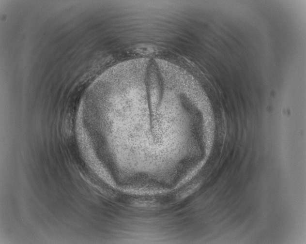 X0000082750606200702240040