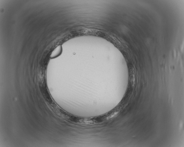 X0000082750607200702240040