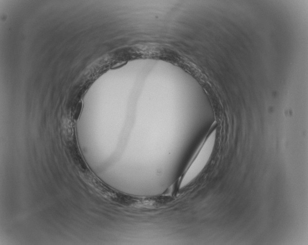 X0000082750609200702240040