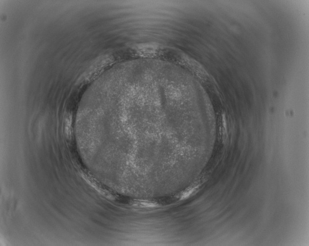 X0000082750610200702240040